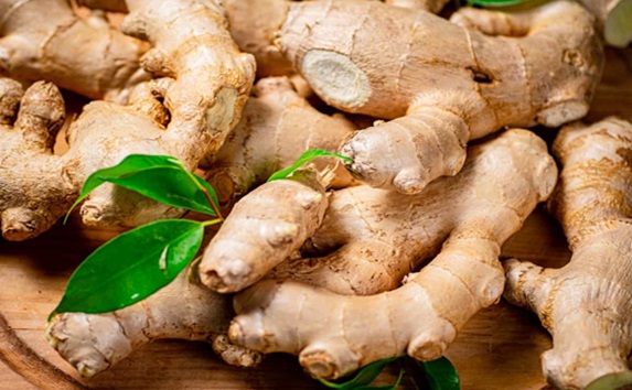 organic-ginger Farming